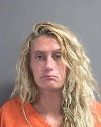 27-year-old SAMUEL MCCLAIN-MCDONALD from DELAND was booked