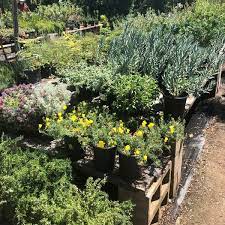 West los angeles, ca 90025 phone: La Crescenta Nursery Garden Center In La Crescenta