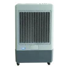 Try to plant the tree so that it's between the garage and the direction of the sun during the hottest part of the day. The 8 Best Evaporative Coolers 2021 Best Swamp Coolers