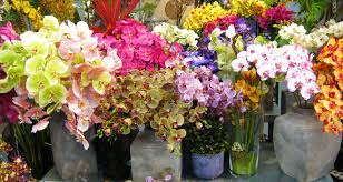 More than just another floral wholesaler. Artificial Flowers Plants Elisdecor Com