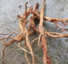 Kayu senggani pun memiliki ukuran yang tidak sebesar kayu rasamala. Rekomendasi Jenis Kayu Penghias Aquascape Yang Paling Tahan Lama