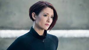 She is known for portraying janey briggs in the comedy film not another teen movie (2001). Chyler Leigh Net Worth 2021 Age Height Weight Husband Kids Bio Wiki Wealthy Persons