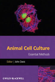 Check spelling or type a new query. Animal Cell Culture Essential Methods Vetbooks
