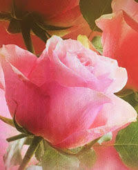 I always tell miss bertha how much i want to spend and she puts together a custom arrangement. Ina Ilene Little Miss Ilene Rice Obituaries Citizentribune Com