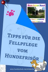Hundefrisor Gibt Tipps Zur Fellpflege Hunde Hundeerziehung Hundefell Hund Bursten Hundetraining Hundefriso Hundeerziehung Hundeschule Welpen Erziehen