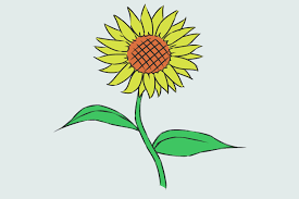 Iniziare non è difficile, bastano pochi esercizi e tanta pratica. Come Disegnare Un Fiore Con Immagini Wikihow