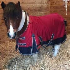 Observez le plan du métro parisien. Tous Au Vert By Sd Tous Les Tapis Pages Directory