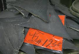 As Shark Slaughter Continues, A Defender Targets Fin Trade