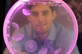 Now sea this: Tabletop jellyfish