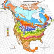1990 Usda Plant Hardiness Zone Map Jardin Sagrado Jardineria Jardines