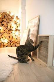 Pin By Ozel Harekat On Bemaltestocke Cat Playground Cat Diy Animal Room