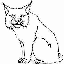 Free printable lynx coloring pages. Lynx Coloring Page