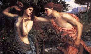 We did not find results for: Apolo Y Dafne Una Tragica Historia De Amor
