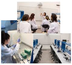 Türk dili ve edebiyatı bölümü. Genetik Ve Biyomuhendislik Izmir Ekonomi Universitesi