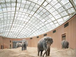 Elephant House Copenhagen Zoo Foster Partners Copenhagen Zoo Zoo Architecture Animal Habitats