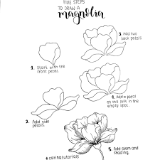 Learn how you can draw different flowers step by step. Carina On Instagram Here Is How You Can Draw A Version Of A Magnolia Remember That You Can Find The T Flower Drawing Tutorials Flower Drawing Floral Drawing