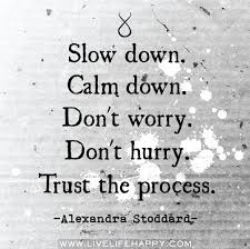 Image result for slow down