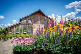 Check spelling or type a new query. New Leaf Nursery Hayden Home Facebook