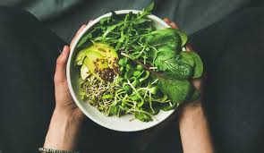 Vejeteryan ve vegan arasındaki fark ne? Vegan Beslenme Nedir Saglik