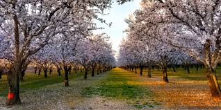 Ecostrat | Logan County, Colorado Issued BDO Zone A Rating for Wheat  Straw - Ecostrat