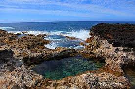 Tidal Pool At Secret Beach Hawaii Beaches Tidal Pool Oahu Vacation