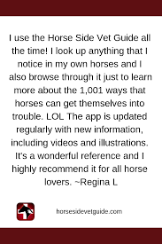 Equineapp Testimonial Horseapp Horse Side Vet Guide Equine Nutrition Horse Health Vets