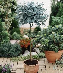 Pin On Garden