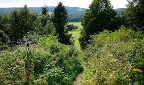 3 stars rhön park hotel is situated in rother kuppe 2 in hausen in 984 m from the centre. Rhon Rundweg 4 Hausen Rhonfuhrer De