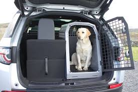 Whichever you choose, always place that in the back seat for the safest ride. How To Secure Dog Crate In Car Simple Checklist