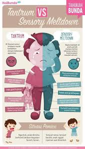 Ini Bedanya Tantrum Dan Sensory Meltdown Marah Tahu Infografis