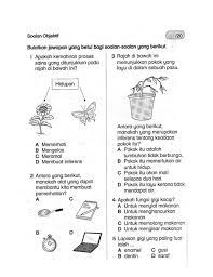 Download rpt matematik tahun 6 baik rpt matematik kssr. Soalan Akhir Tahun Dst Tahun 2 Dst Malay Language Grief