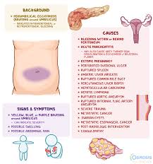 Image result for Umbilicus