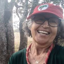 Luiz Carlos Shake (@luizcsfreitas)