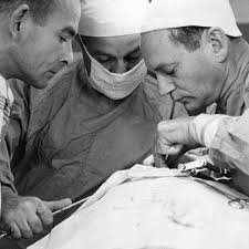 School of Veterinary Medicine