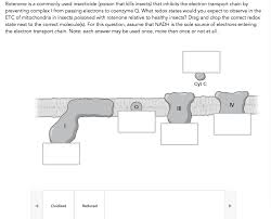 It is considered a botanical insecticide and whose general use is as pesticide. Rotenone Is A Commonly Used Insecticide Poison That Chegg Com