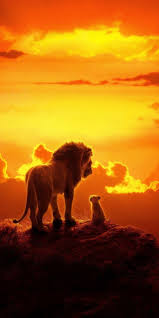 Le Roi Lion 2019 Images Roi Lion Fond D Ecran Dessin Animales