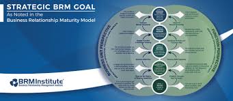 Business Relationship Manager Brm Metrics Brm Institute In 2020 Relationship Management Relationship Management