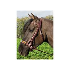 This is zippys sidepull by haydn jones on vimeo, the home for high quality videos and the people who love them. Wildhorn Oglowie Bezwedzidlowe Dla Konia Sidepull Indian Spirit Equishop Reitshop