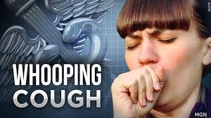 Emily Beier's Instagram, Twitter & Facebook