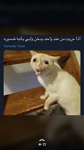 Pin By On Jokes Funny Picture Jokes Funny Reaction Pictures Fun Quotes Funny