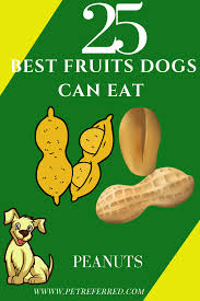What Fruit Is Safe For Dogs To Eat 25 Best Fruits Dogs Can Eat Safely Pet Referred Blog Fruit Dogs Can Eat Best Fruits Foods Dogs Can Eat