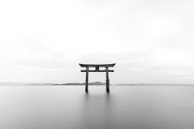 Check spelling or type a new query. Torii 1080p 2k 4k 5k Hd Wallpapers Free Download Wallpaper Flare
