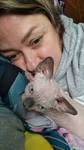 Cream point Kittens for sale