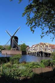 Scarlatti, stille mare 4, 2312dh, leiden. Europe Trip Day 7 Aalsmeer Keukenhof And Leiden Accidental Intentions