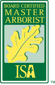 Becoming an arborist is one of the best occupations for someone who has a great appreciation of being an arborist will equip you with adequate knowledge about how trees respond to damages caused by nature and man and how they. International Society Of Arboriculture Credentials Types Of Credentials Isa Board Certified Master Arborist