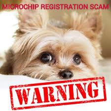 911petchip & free pet chip registry. Warning Microchip Registration Scam Bruce Forsyth S Vets Get Scanning Petition Facebook