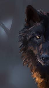 Check spelling or type a new query. Wolf Images Hd Posted By Zoey Cunningham