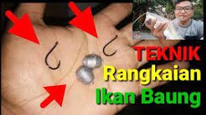 Cari produk umpan pancing lainnya di tokopedia. Teknik Mancing Ikan Baung Cara Buat Rangkain Mancing Ikan Baung Youtube