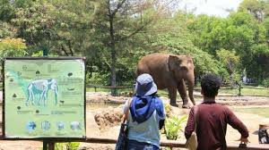Dapatkan informasi terkait rute menuju pantai sigandu, harga tiket masuk dan ulasan dari para pengunjung disini. Dolphin Centre Batang Wisata Satwa Di Kabupaten Batang Yang Mirip Taman Safari Indonesia Tribunjateng Travel