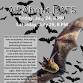 All about Bats